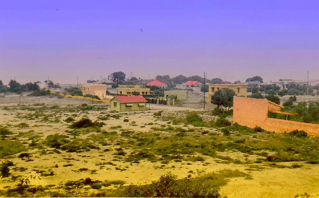 CANASTEL 34.jpg